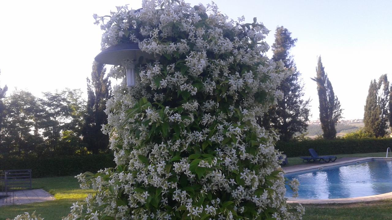 Agriturismo Fattoria Rozzalupi Cerreto Guidi Bagian luar foto